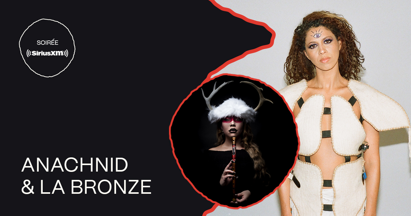 Anachnid labronze ccf22 FB