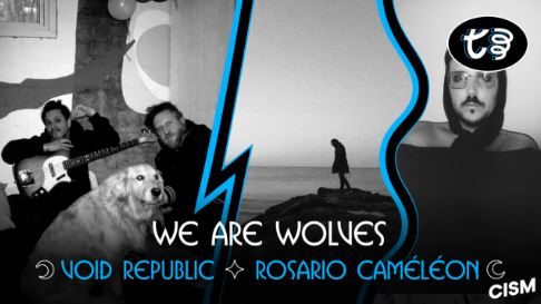 TAVERNE TOUR We Are Wolves Void Republic Rosario Caméléon February 6th